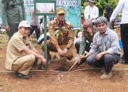 Sulsel Mulai Kembangkan Padi Gogo