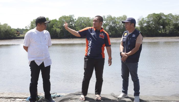 Jalan Sempit dan Padat, Bupati Luwu Timur Siapkan Pelebaran Akses TPI Wotu