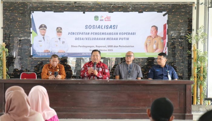 Disdagkop UKMP Lutim Gelar Sosialisasi Penguatan Koperasi Desa