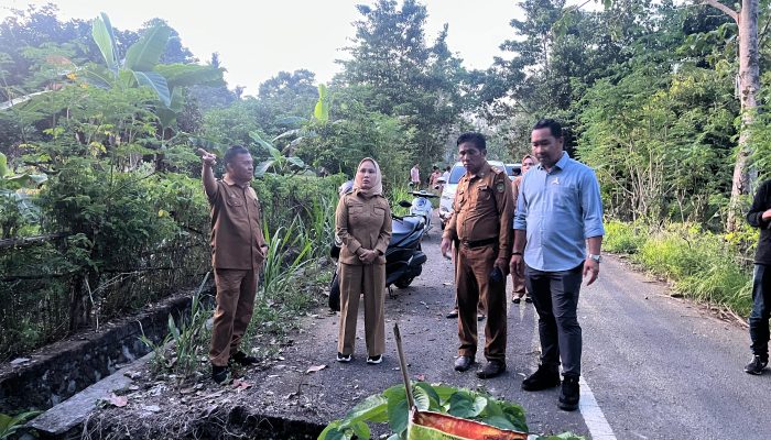 Wali Kota Palopo Turun ke Lapangan, Tinjau Jembatan Penghubung yang Rusak