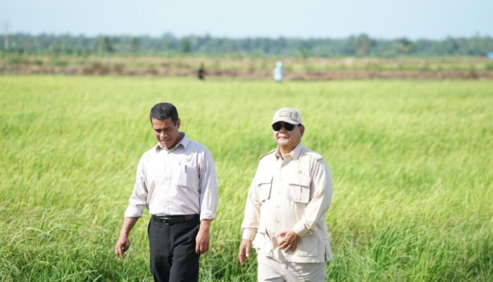 Dari Kementan ke Bapanas, Amran Sulaiman Emban Dua Tanggung Jawab Strategis