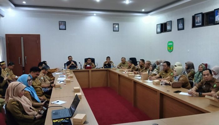 Pemkab Luwu Dorong Digitalisasi Fiskal, Realisasi PAD Tembus 79,89 Persen