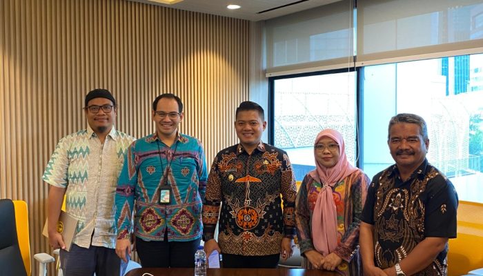 Wabup Luwu Serahkan Proposal RS Type D Walmas ke Kemenkes RI