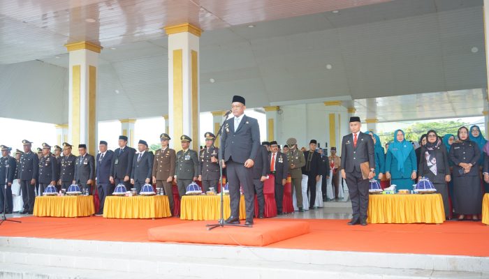 Pemkab Luwu Gelar Upacara Hari Pahlawan 2025