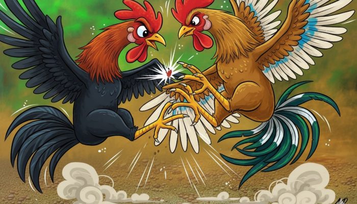 Polres Luwu Pantau Dugaan Arena Sabung Ayam di Larompong dan Bua