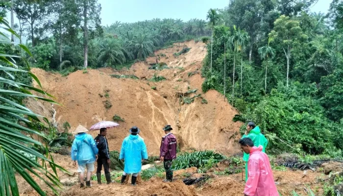 BNPB: 303 Meninggal, 279 Masih Hilang Akibat Bencana di Aceh–Sumut–Sumbar