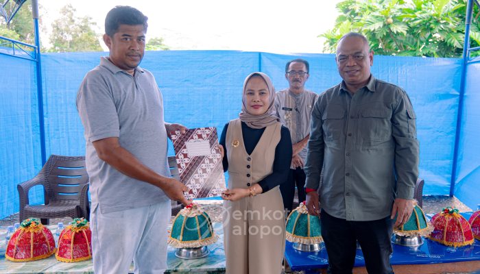 Wali Kota Palopo Serahkan Combine Harvester untuk Petani Sendana