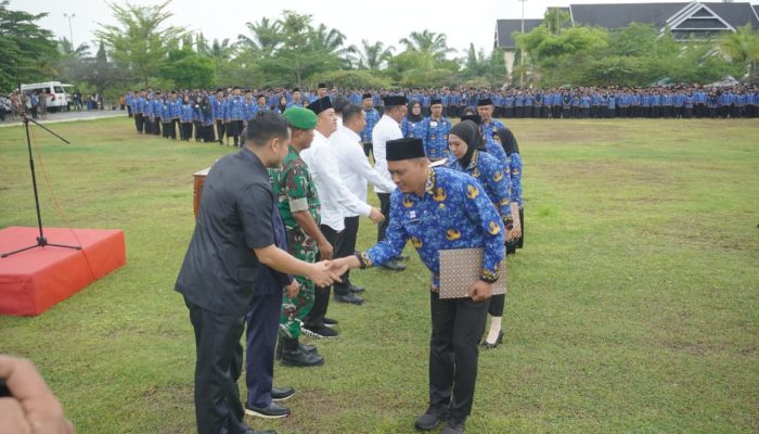 Kado Manis Akhir Tahun, 3.374 Honorer Luwu Resmi Berstatus PPPK Paruh Waktu