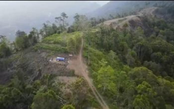 Kerusakan Hulu Gunung Andoli Disorot Usai Banjir Besar
