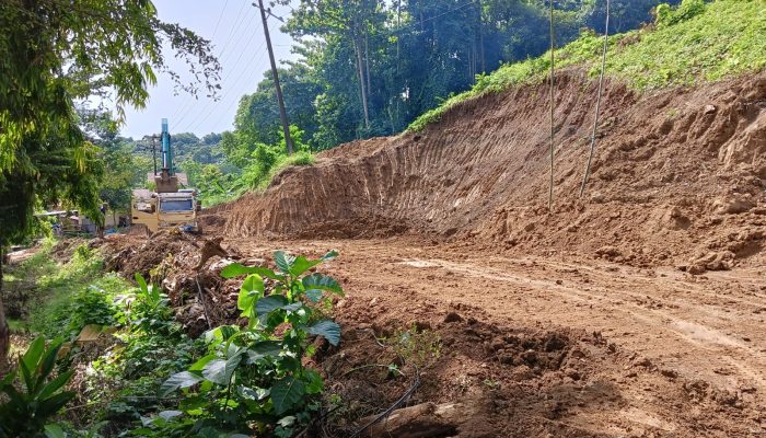DLH Luwu Tegaskan Aktivitas di Gunung Sampoddo Belum Kantongi Izin Tambang