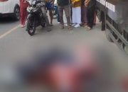Tabrakan Truk Box dan Sepeda Motor di Padang Sappa, Satu Pengendara Meninggal Dunia