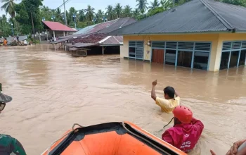 Tuding Pemerintah Biarkan Deforestasi, Presiden hingga Menkeu Digugatn di PTUN