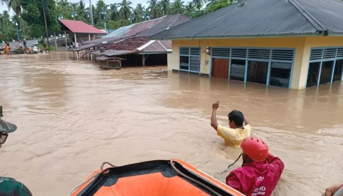 Tuding Pemerintah Biarkan Deforestasi, Presiden hingga Menkeu Digugatn di PTUN