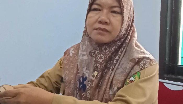 Polemik Villa Gunung Andoli: Pemangku Adat Protes, DLH Palopo Mengaku Tak Pernah Terima Izin