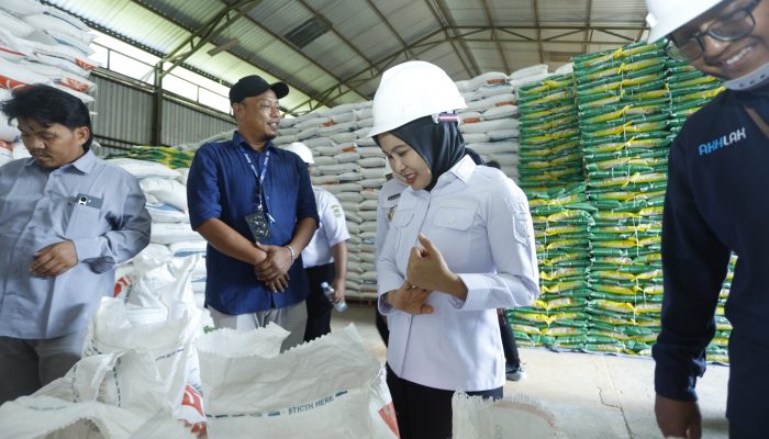 Wali Kota Palopo Pastikan Stok Pangan Aman Jelang Nataru