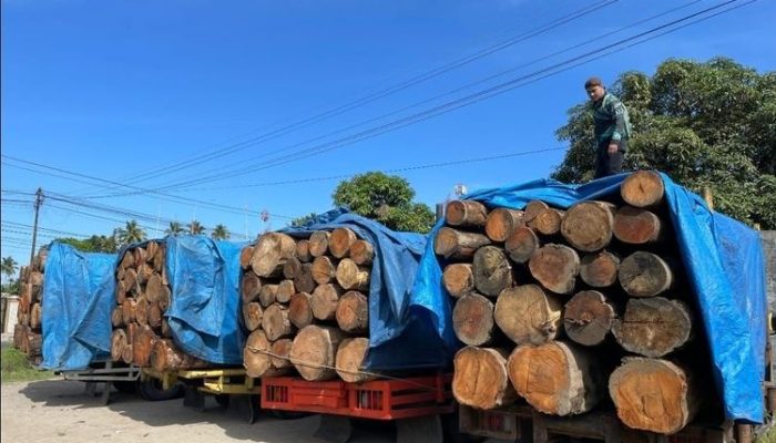 Sidang Kabinet Paripurna, Presiden Perintahkan Tindak Tegas Perusak Lingkungan