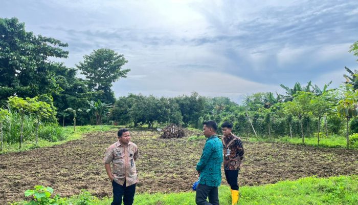 Lapas Palopo Panen Terong dan Kacang Panjang, Jose Quelo: Ini Bekal untuk Warga Binaan