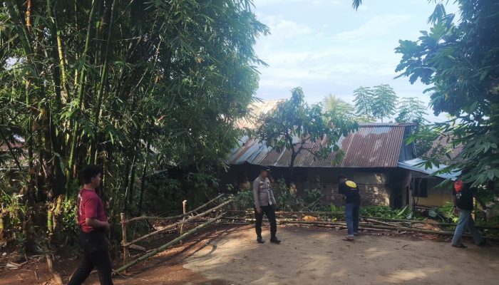 Gerak Cepat, Polres Palopo Bongkar Dua Arena Sabung Ayam dalam Sehari