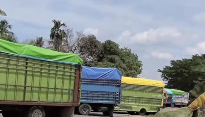 Imbas Blokade Trans Sulawesi, Program Makan Bergizi Gratis di Luwu Terhenti