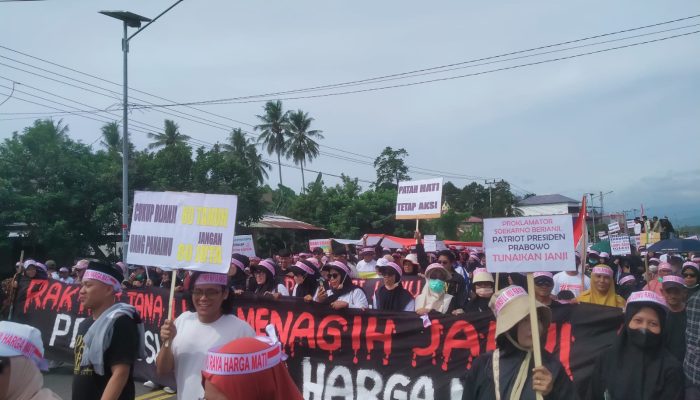 Mengungkit Kembali Janji Soekarno di Tanah Luwu