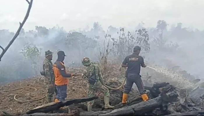Bupati Tarmizi Tetapkan Aceh Barat Darurat 14 Hari