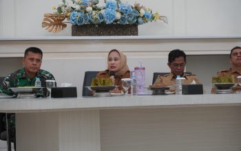 BPS Palopo Warning Inflasi Tinggi, Efek Blokade Jalan Walmas dan Sampoddo