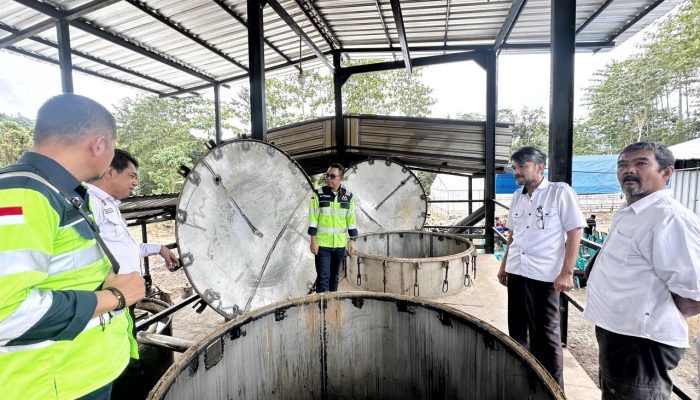 Masmindo Perkuat Ekosistem Nilam Luwu, Dari Budidaya Hingga Pengolahan Pascaproduksi