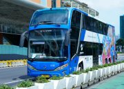 Pejalan Kaki Tewas Terlindas Bus Transjakarta di Jalan Margasatwa Raya Jaksel