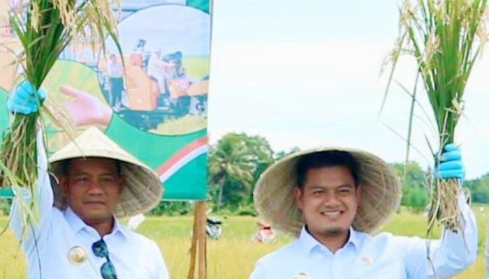 Pertumbuhan Ekonomi Luwu 2025 Tembus 7,43 Persen, Tertinggi dalam Tujuh Tahun