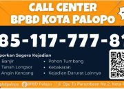 BMKG Prediksi El Nino Melanda Paruh Kedua 2026, BPBD Palopo Minta Masyarakat Waspada