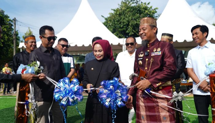 Kado HUT Ke-24 Palopo, Gubernur Sulsel Resmikan Wajah Baru Lapangan Gaspa