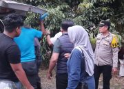 Warga Rampoang Palopo Digemparkan Penemuan Pria Gantung Diri di Gudang Rongsokan