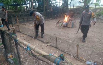 Bergerak Cepat, Polres Luwu Bongkar Dua Arena Sabung Ayam di Lamasi dan Bupon