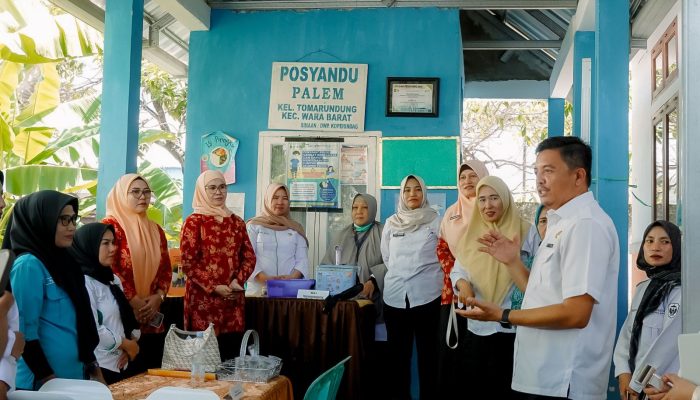 Hari Posyandu Nasional, Pemkot Palopo Dorong Transformasi Layanan Kesehatan Masyarakat