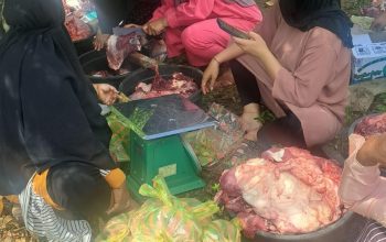 Tak Hanya Bangun Jalan 1,7 Km, PT BMS Rutin Salurkan Sapi Kurban untuk Warga Bua