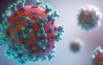 Diam-diam Mematikan! Hantavirus Ancam RI, Mungkinkah Picu Wabah Mirip Corona?