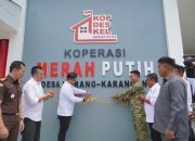 11 Unit KDKMP di Luwu Siap Beroperasi, Targetkan Pemberdayaan UMKM Pedesaan