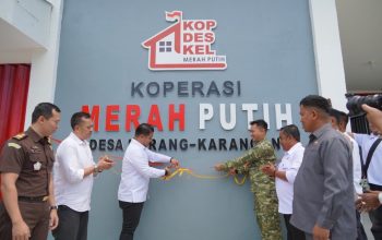 11 Unit KDKMP di Luwu Siap Beroperasi, Targetkan Pemberdayaan UMKM Pedesaan