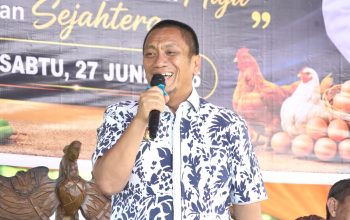 Hadiri Syukuran Desa Lera, Bupati Irwan Bachri Syam Serap Langsung Aspirasi Warga Wotu
