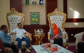 Sinergi Pemkab Luwu dan BKKBN Sulsel: Patahudding Nyatakan Perang Lawan Stunting
