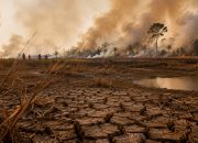 Kemarau dan El Niño Kuat Ancam Air Bersih hingga Produksi Pangan Kemarau dan El Niño Kuat Ancam Air Bersih hingga Produksi Pangan