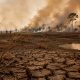 Kemarau dan El Niño Kuat Ancam Air Bersih hingga Produksi Pangan