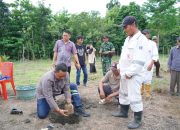 Bupati Patahudding Tanam Aren Genjah di Luwu, Potensi Emas Baru Bagi Warga
