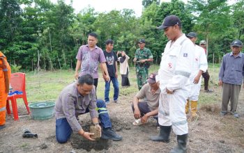 Bupati Patahudding Tanam Aren Genjah di Luwu, Potensi Emas Baru Bagi Warga