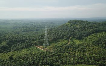 Qodari: Kebun Sawit Ilegal di Indonesia Capai 6 Juta Hektare! Qodari: Kebun Sawit Ilegal di Indonesia Capai 6 Juta Hektare!