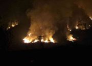 550 Hektare Bromo Terbakar, Ancaman Api Belum Berakhir