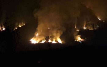 550 Hektare Bromo Terbakar, Ancaman Api Belum Berakhir