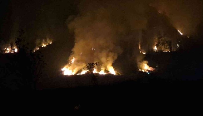 550 Hektare Bromo Terbakar, Ancaman Api Belum Berakhir
