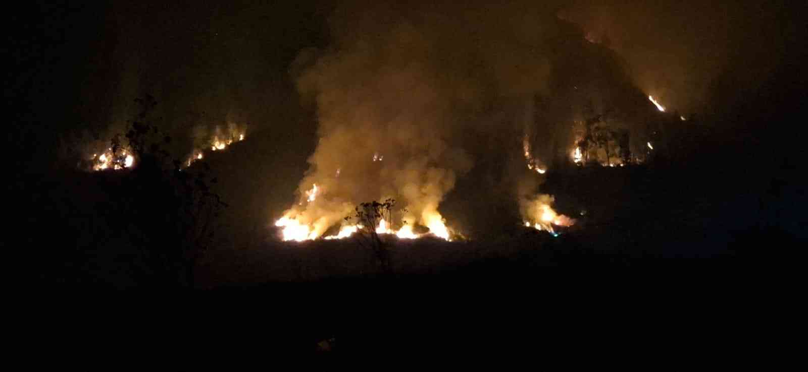 550 Hektare Bromo Terbakar, Ancaman Api Belum Berakhir