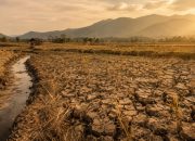 Agustus Jadi Periode Kritis El Niño bagi Pertanian dan Air di Luwu Raya Agustus Jadi Periode Kritis El Niño bagi Pertanian dan Air di Luwu Raya